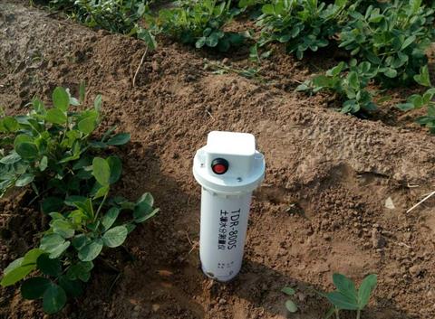 土壤水分监测